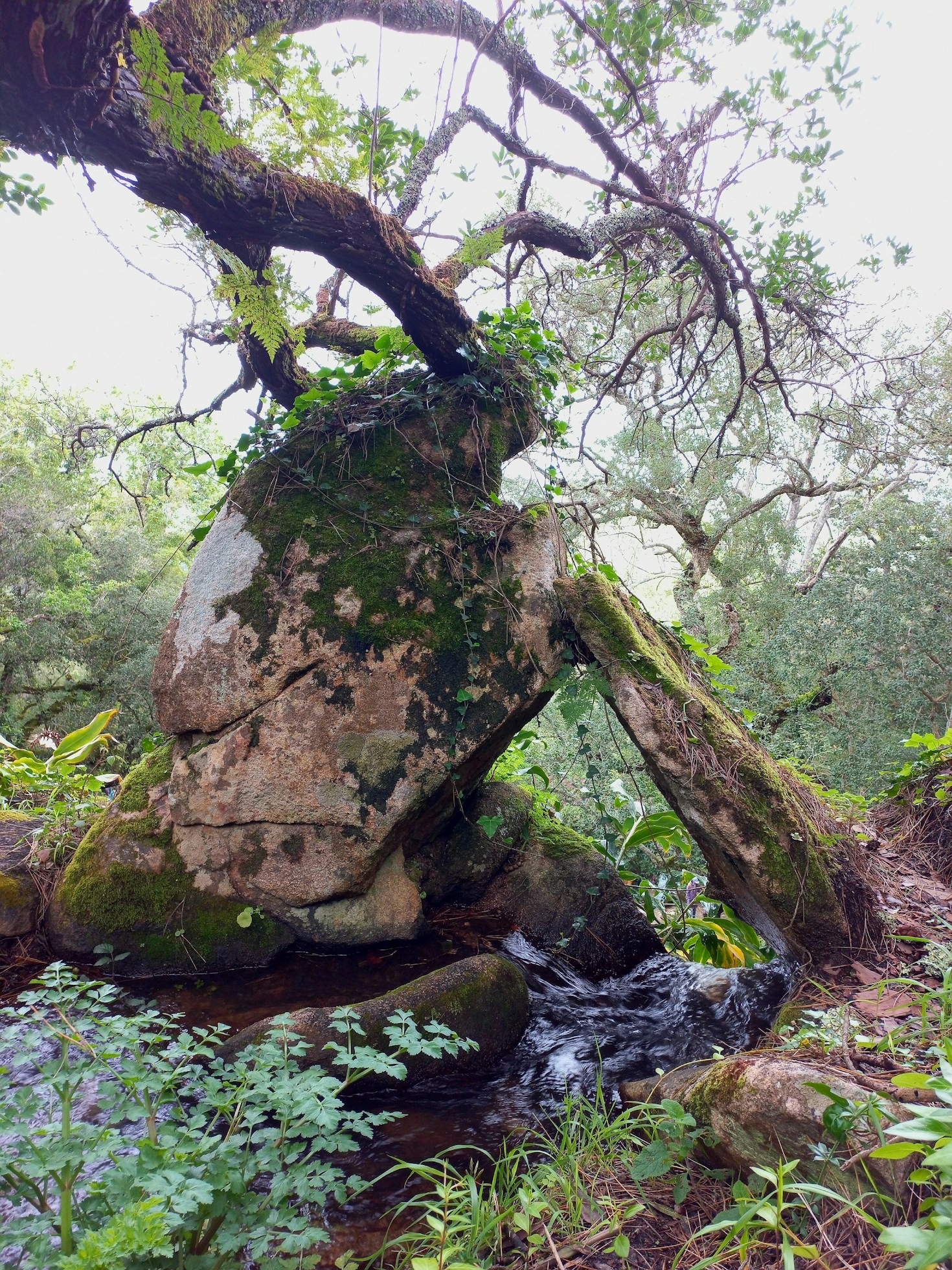 Exploring the Most Mysterious Areas of the Game